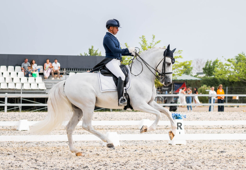 servicios equinos iratxe aragón