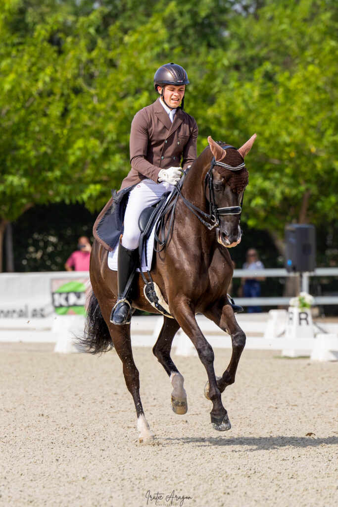 portfolio iratxe aragón