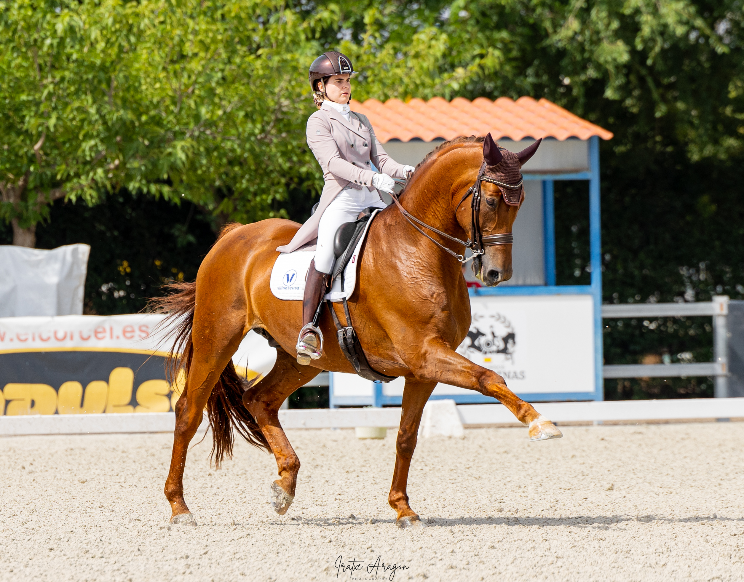 competiciones ecuestres iratxe aragón