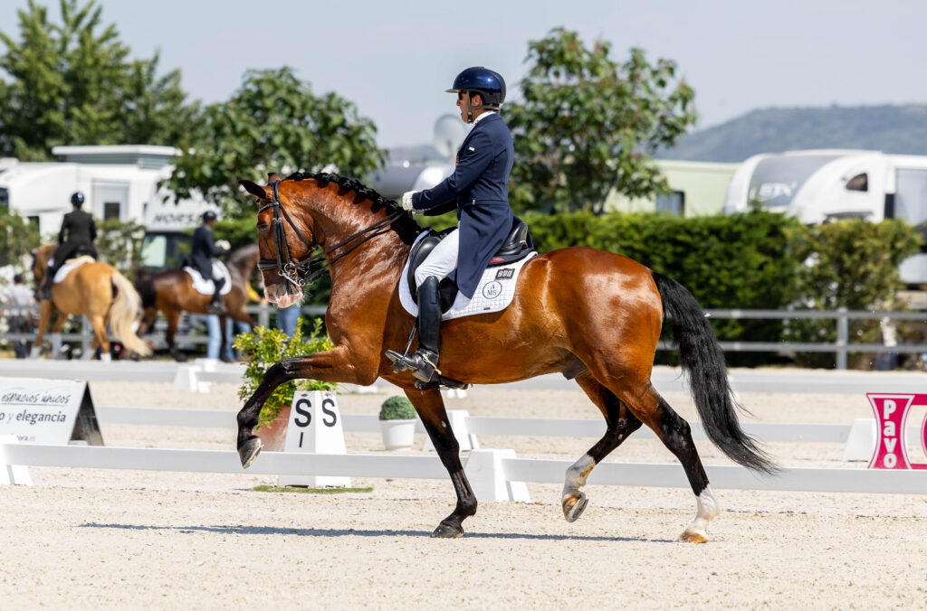 portfolio iratxe aragón