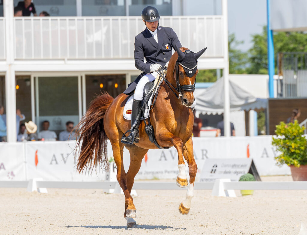 portfolio iratxe aragón