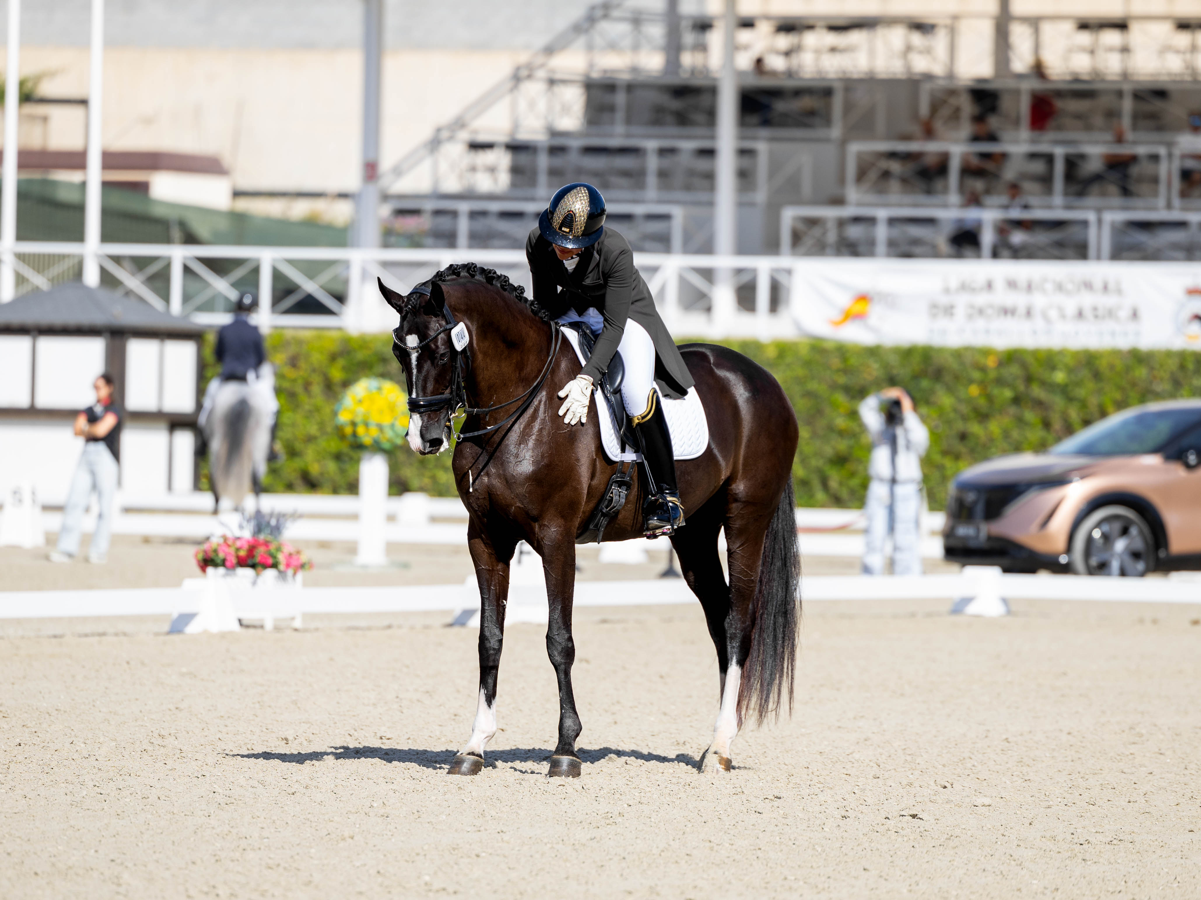 portfolio iratxe aragón