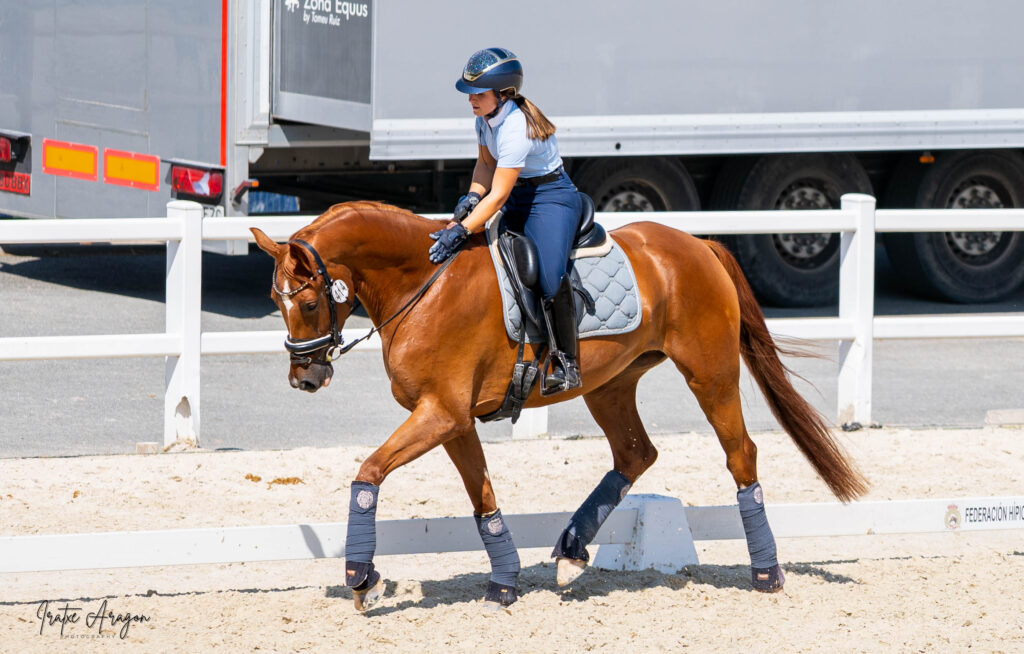 portfolio iratxe aragón