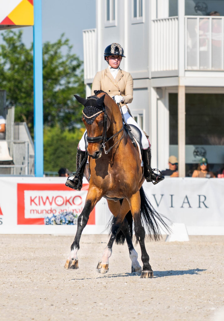 portfolio iratxe aragón