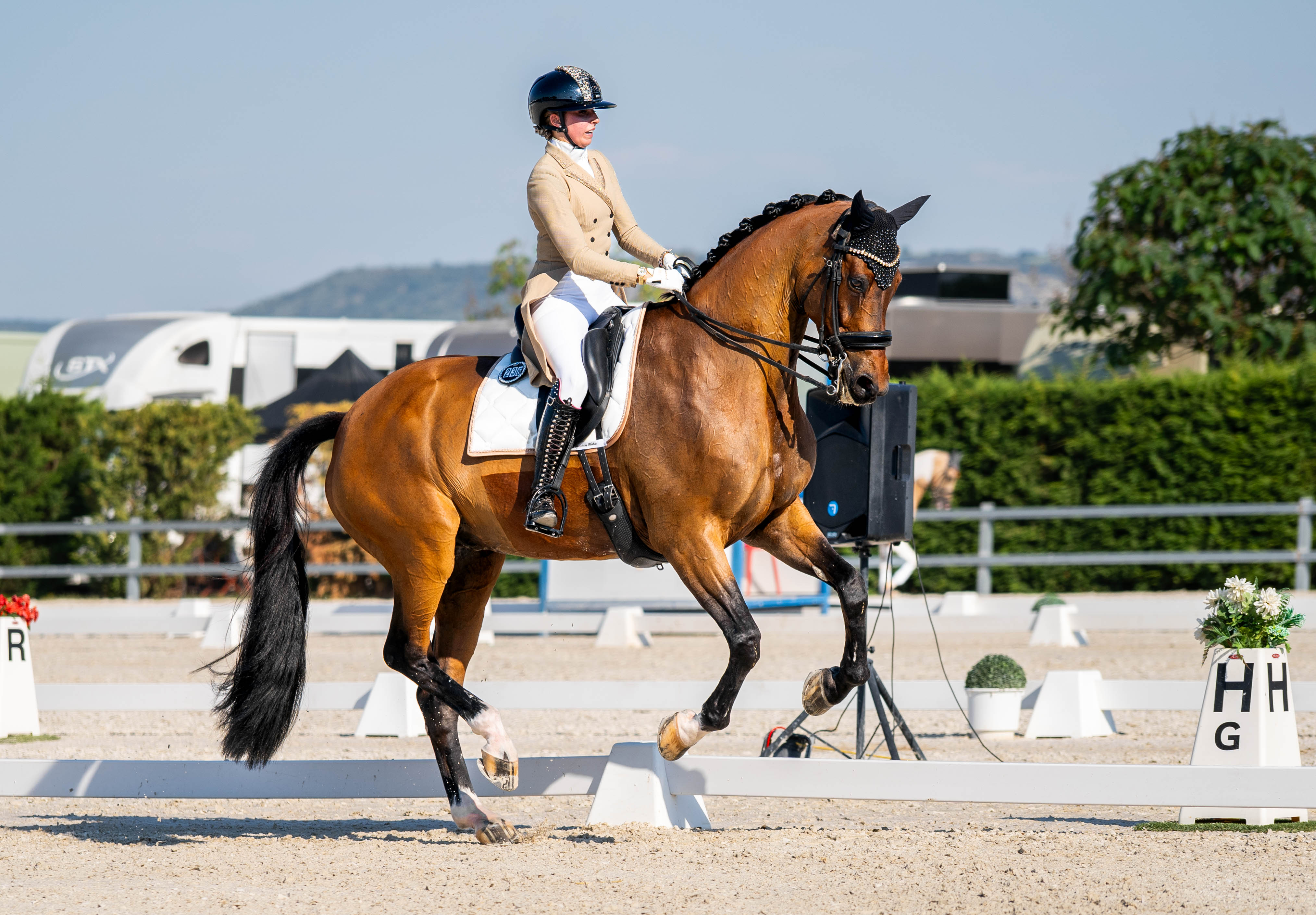 portfolio iratxe aragón