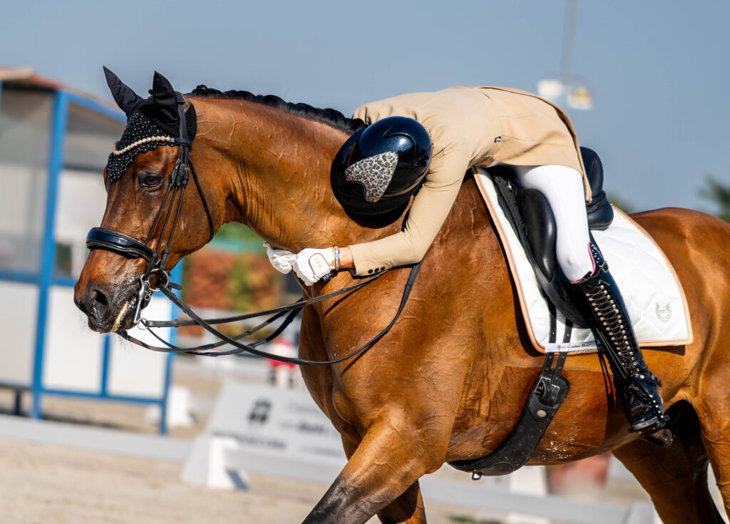 portfolio iratxe aragón