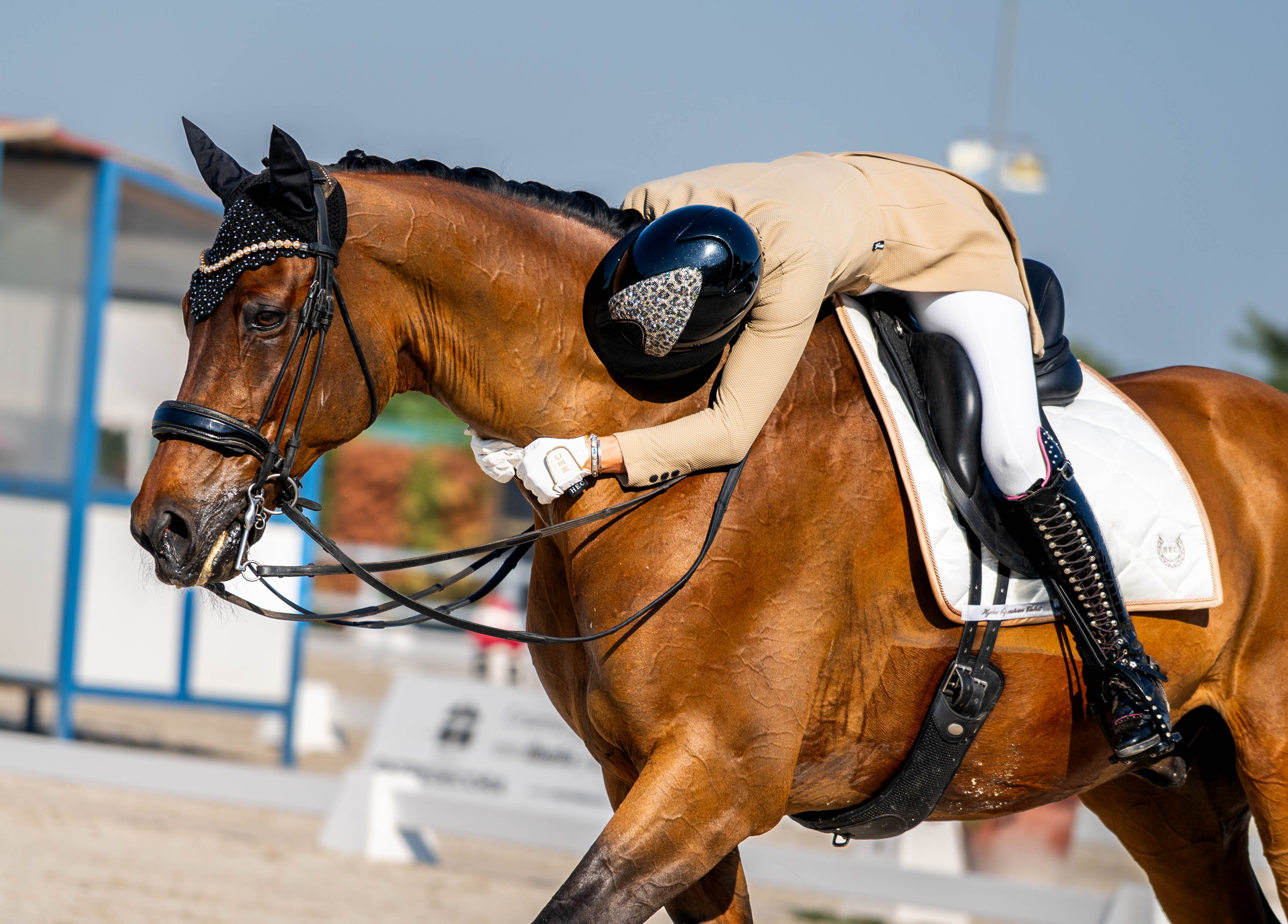 portfolio iratxe aragón