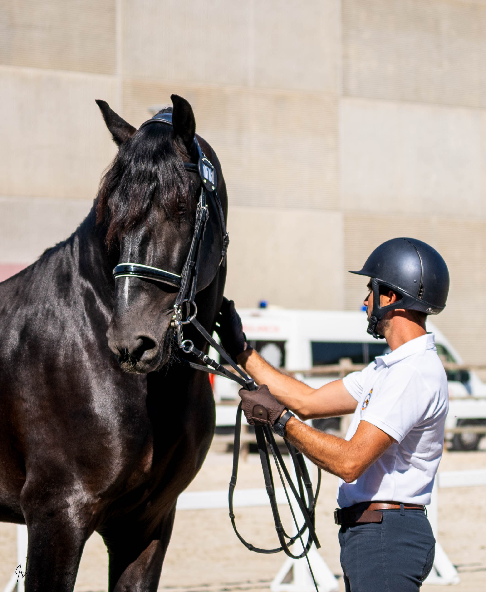 portfolio iratxe aragón