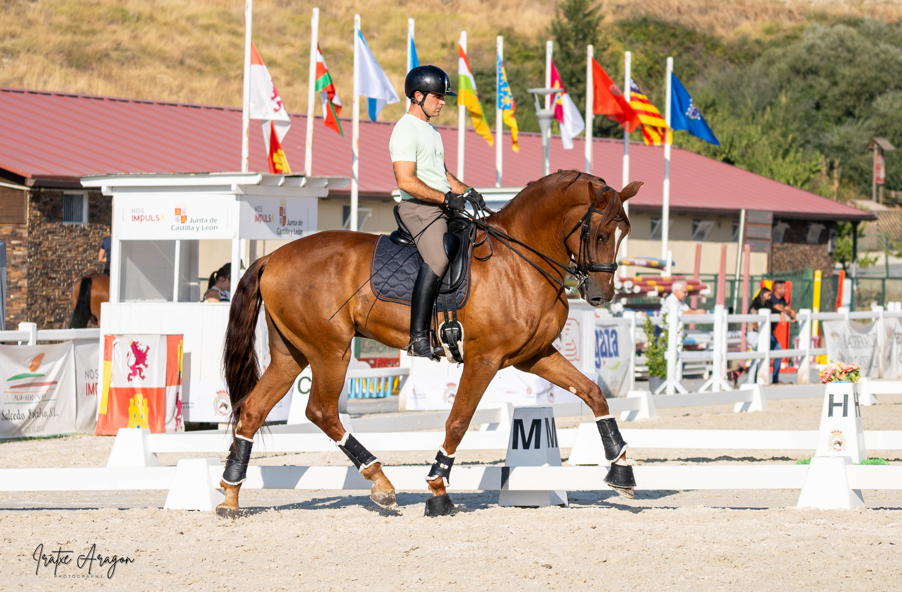 competiciones ecuestres iratxe aragón