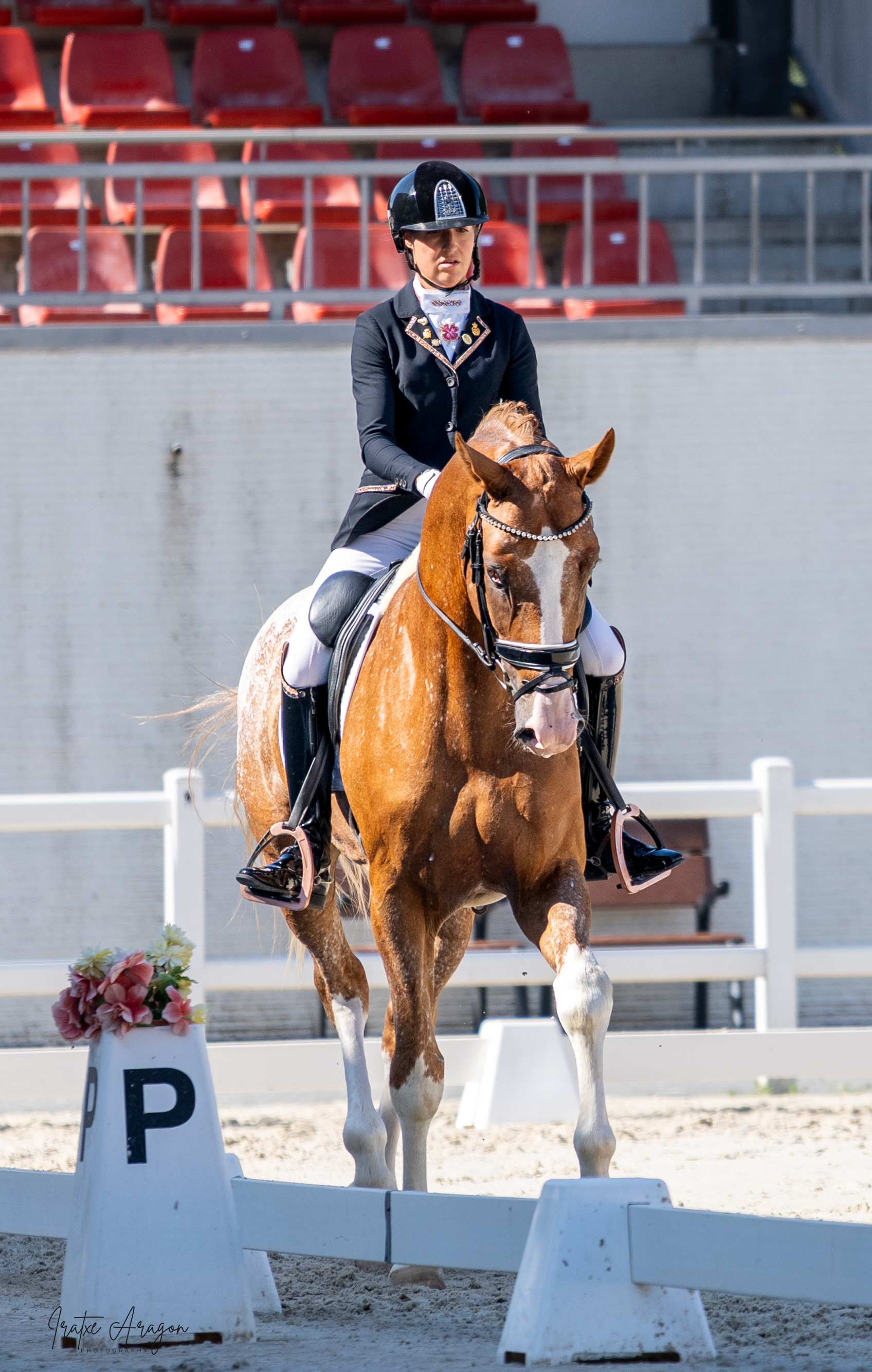 portfolio iratxe aragón