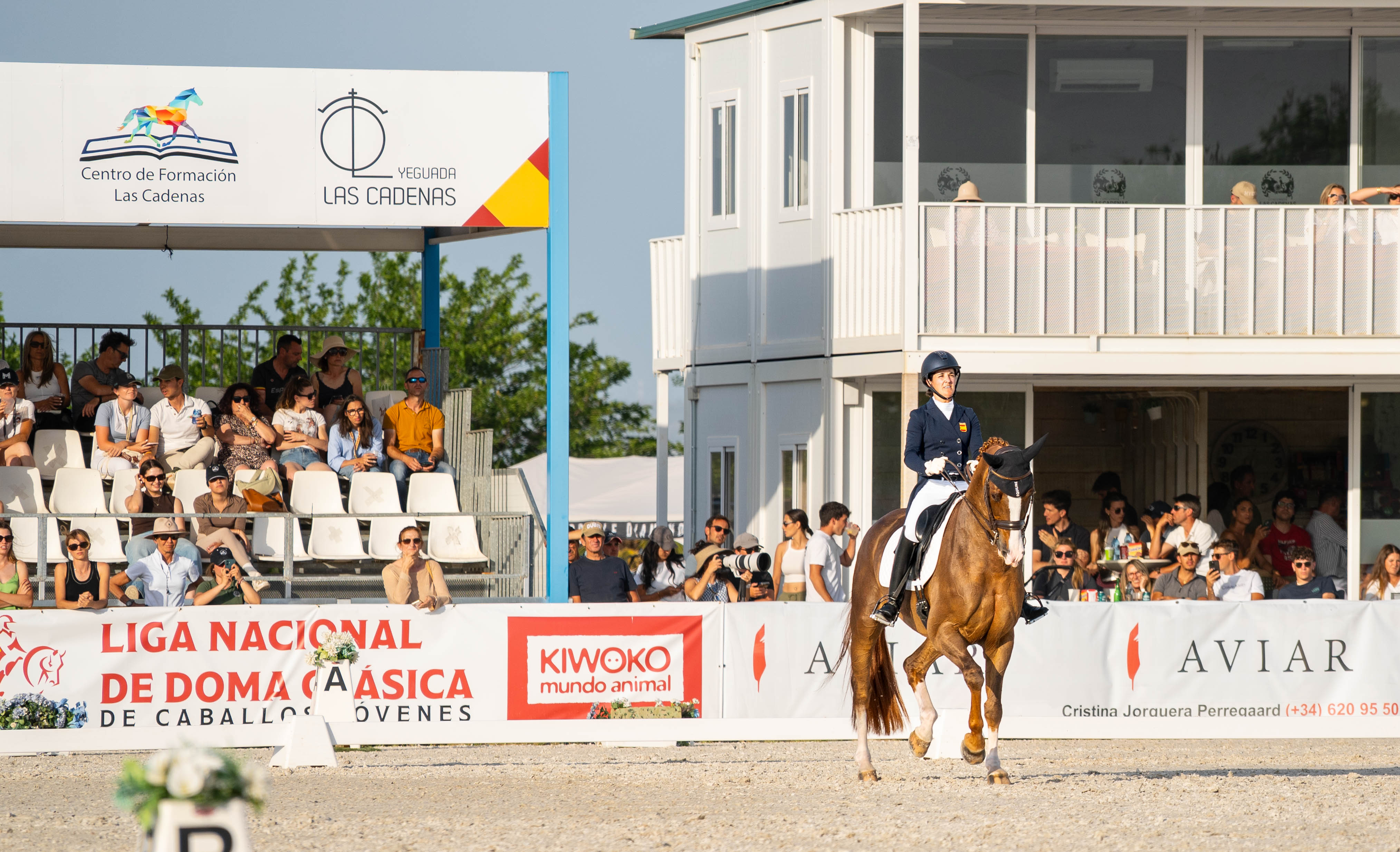 portfolio iratxe aragón