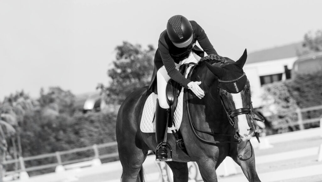 portfolio iratxe aragón