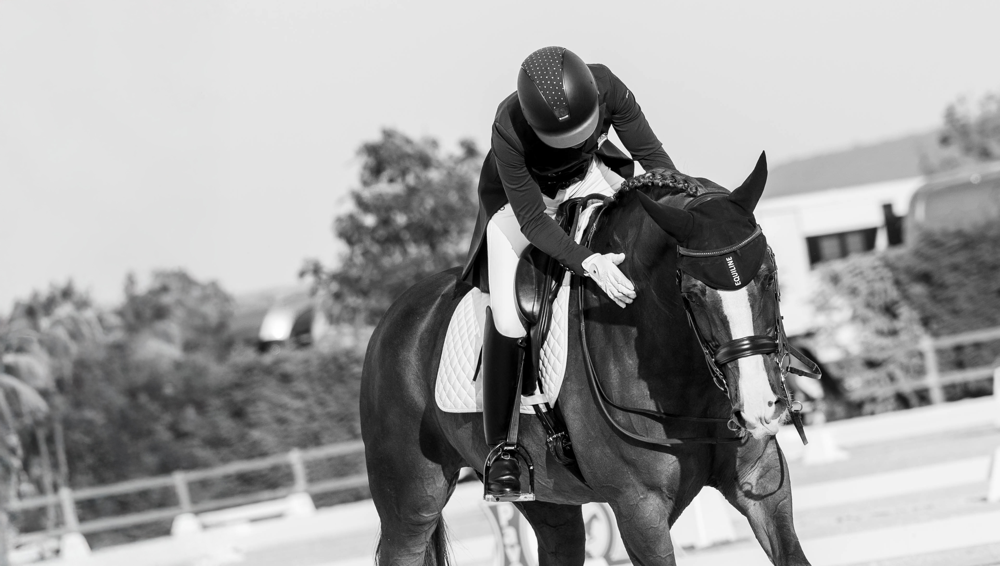 portfolio iratxe aragón