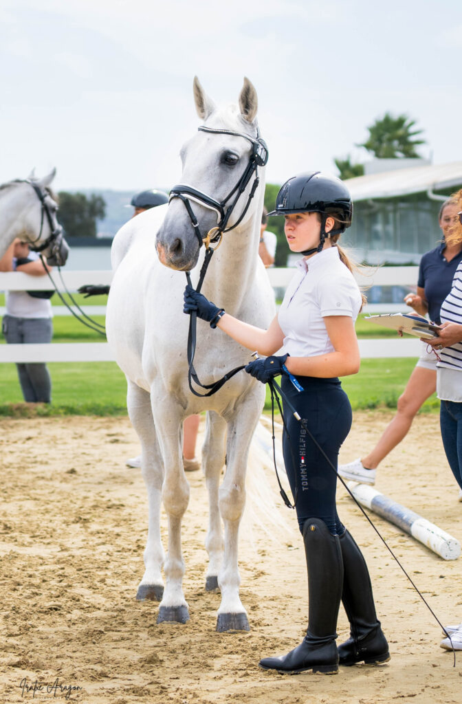 portfolio iratxe aragón