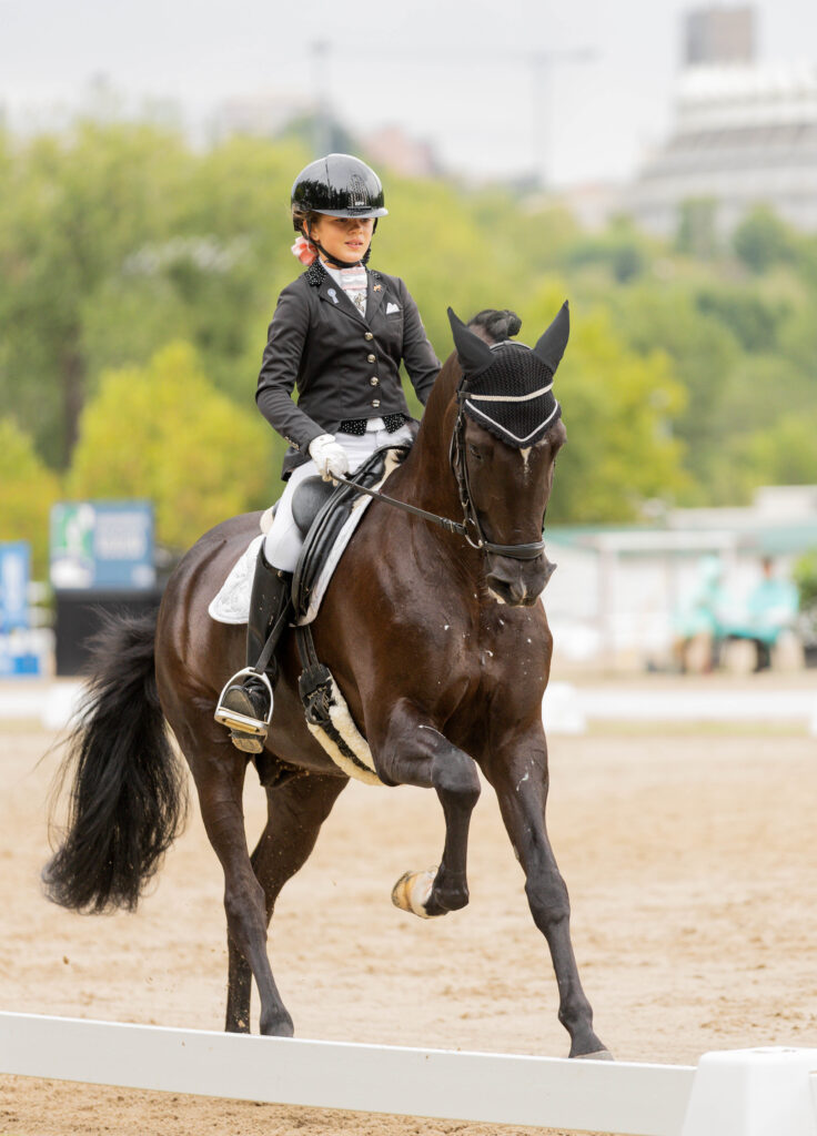 portfolio iratxe aragón