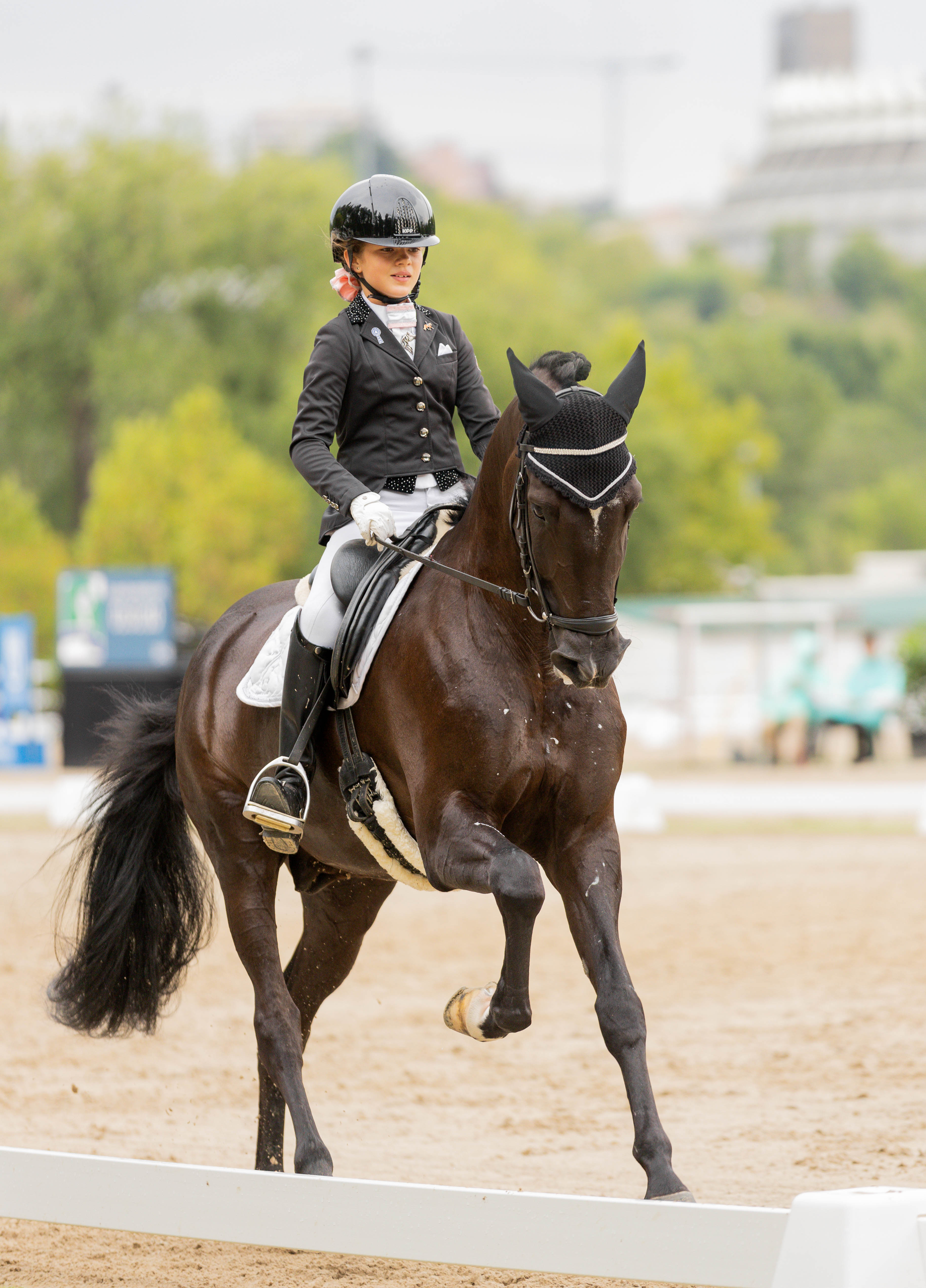 portfolio iratxe aragón