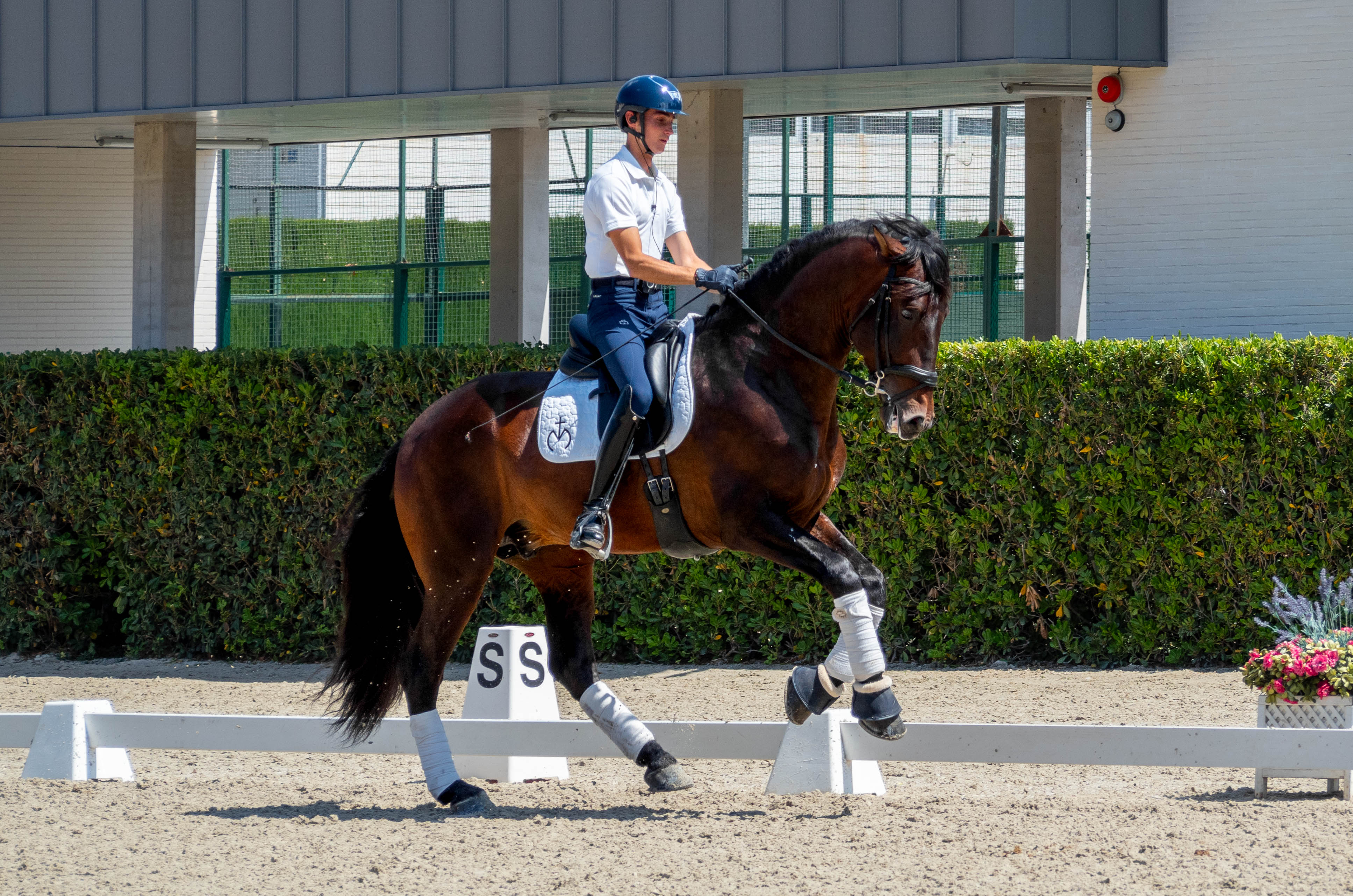 competiciones ecuestres iratxe aragón