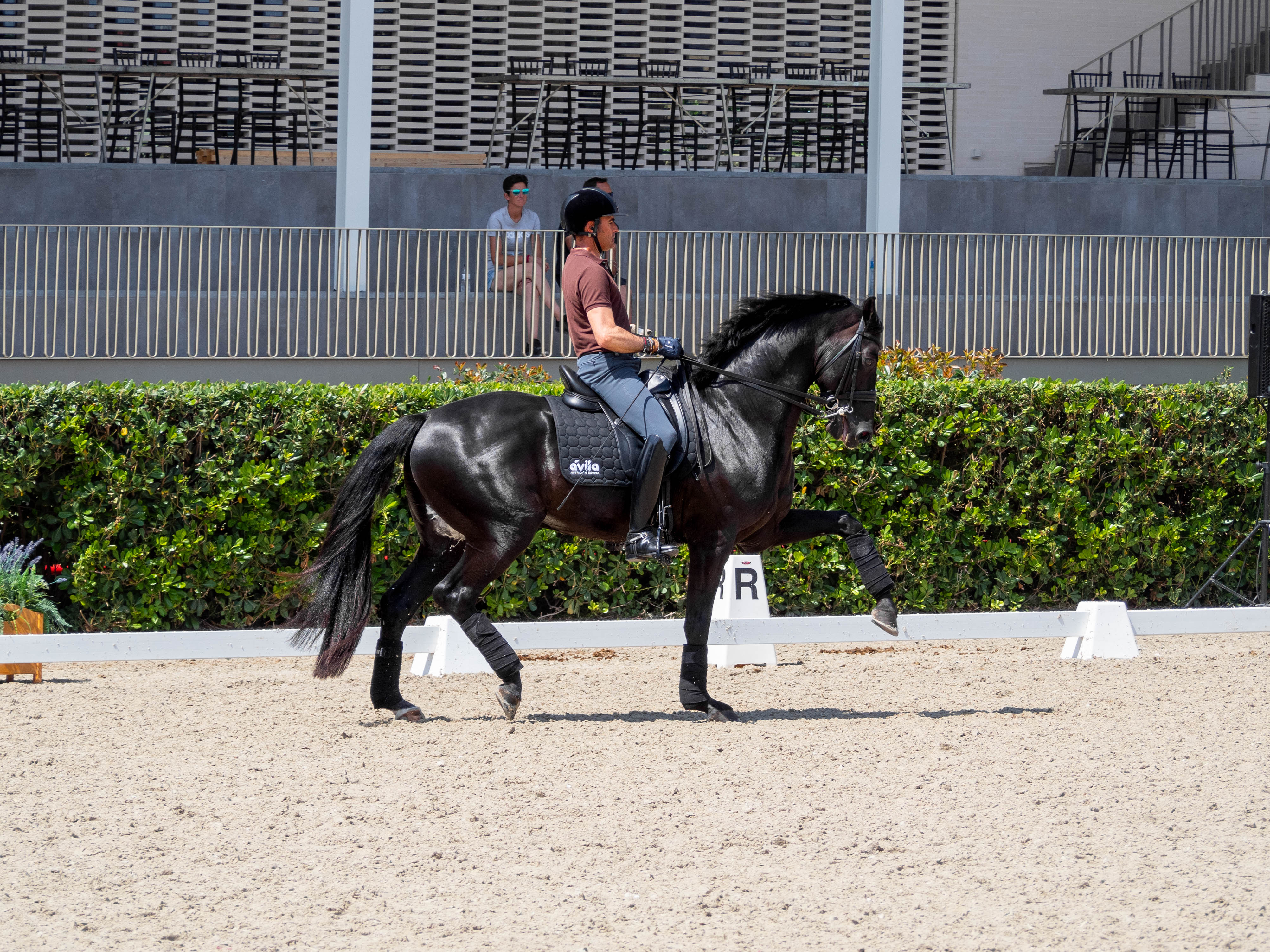 competiciones ecuestres iratxe aragón