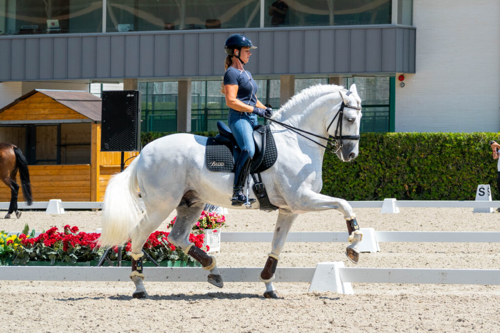 portfolio iratxe aragón