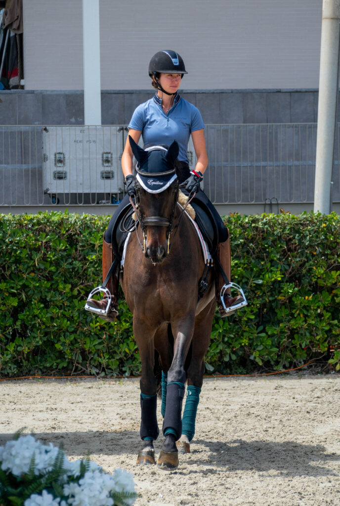 portfolio iratxe aragón