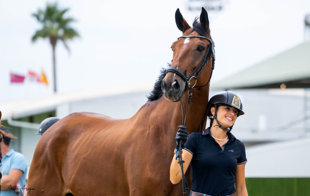 portfolio iratxe aragón