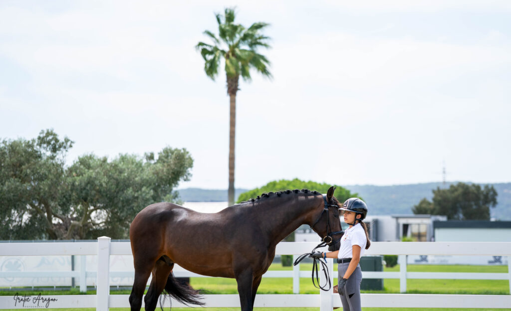 portfolio iratxe aragón