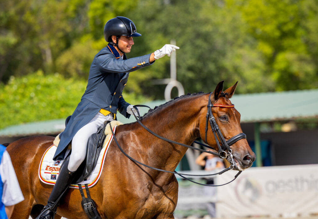 portfolio iratxe aragón