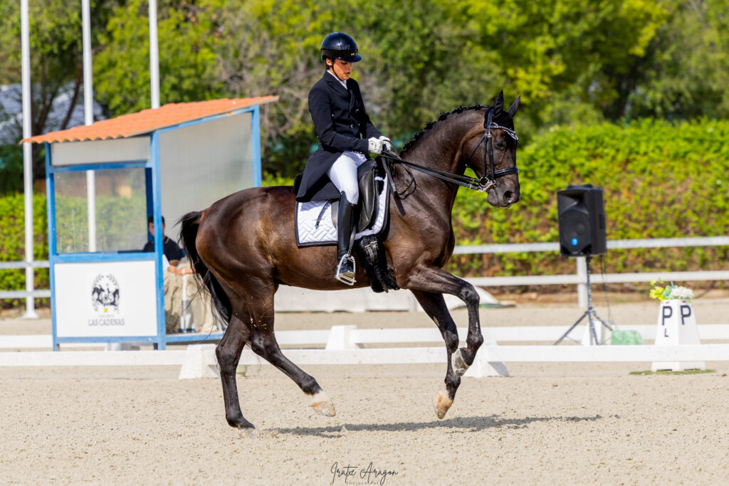 portfolio iratxe aragón