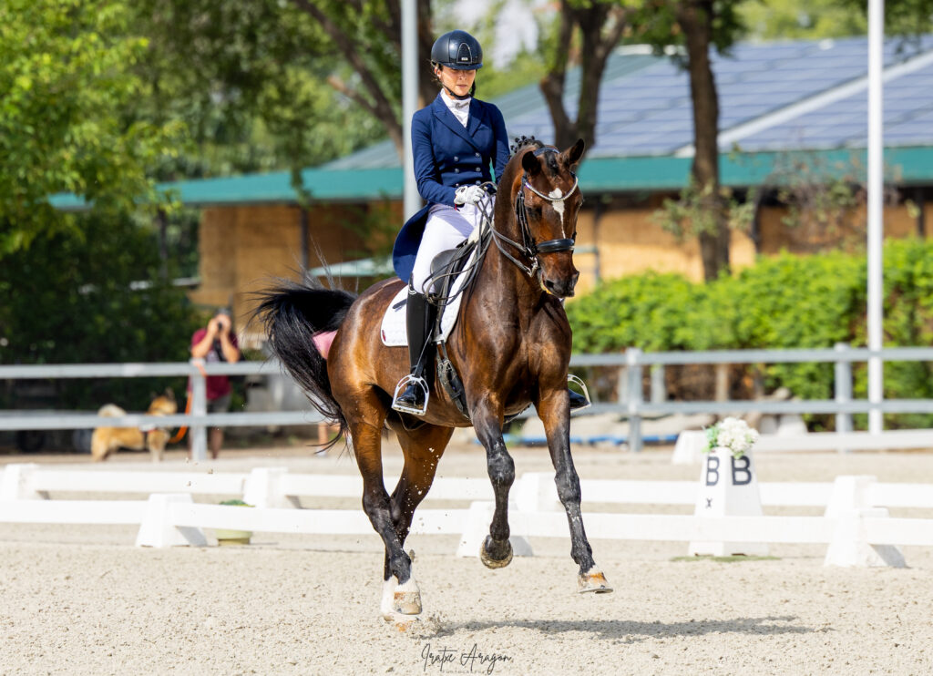 portfolio iratxe aragón