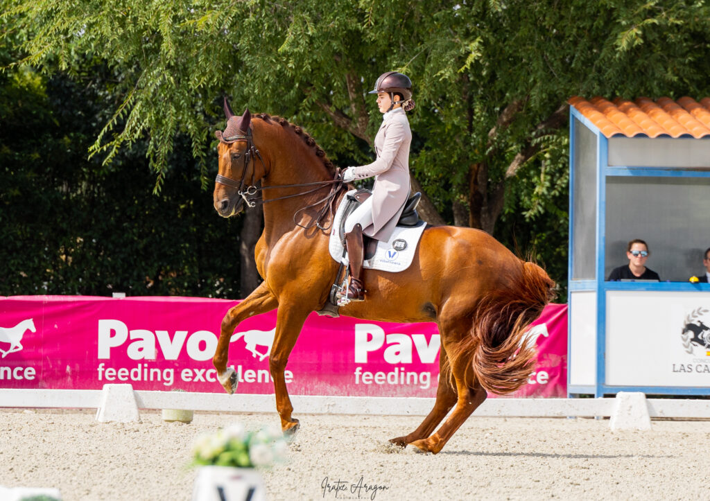 portfolio iratxe aragón