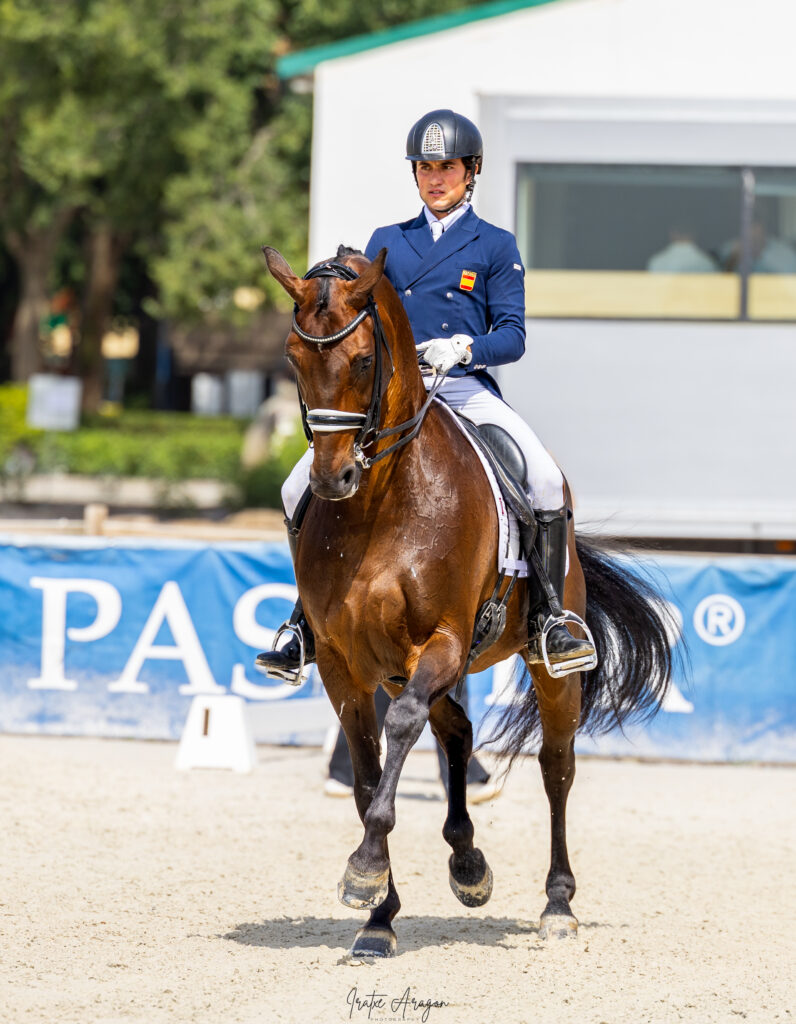 portfolio iratxe aragón