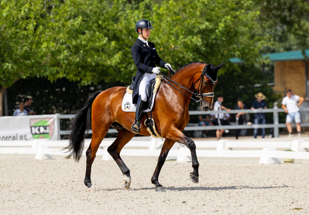 portfolio iratxe aragón