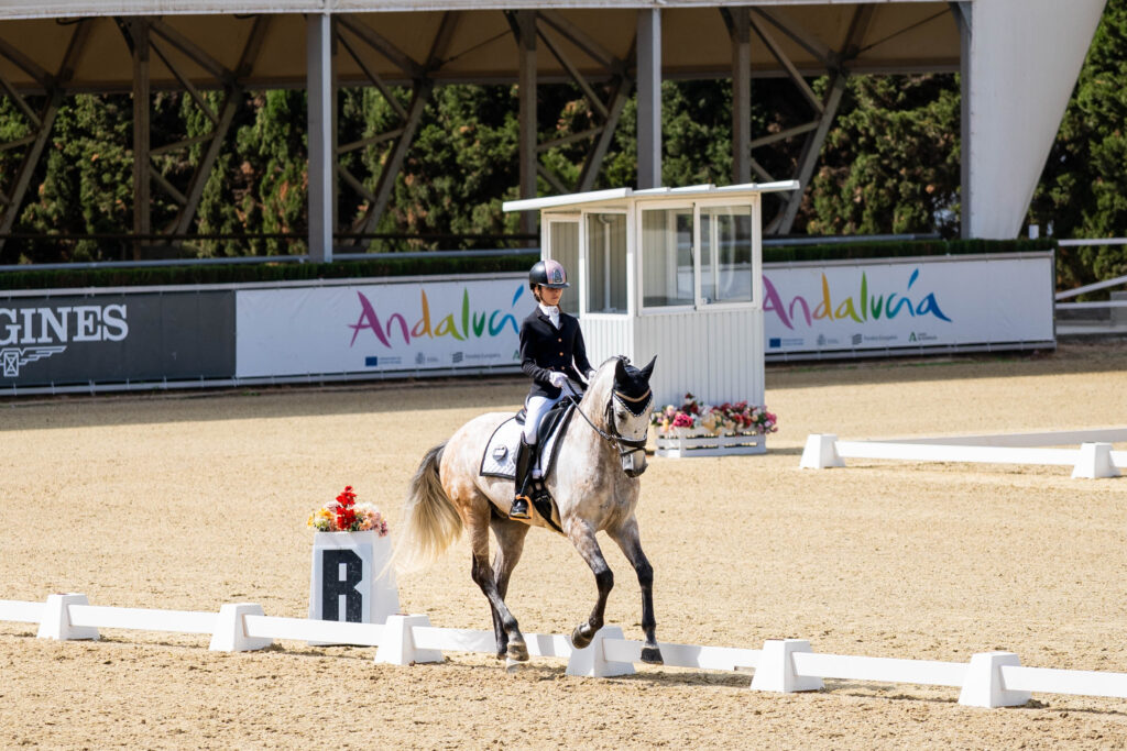 portfolio iratxe aragón