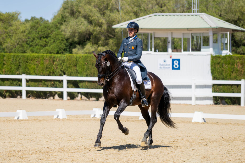 portfolio iratxe aragón