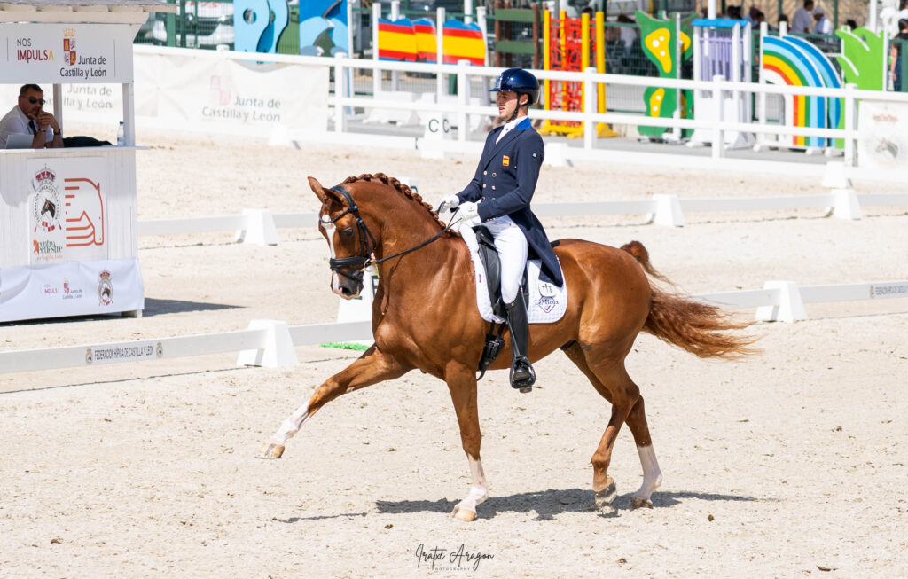 portfolio iratxe aragón