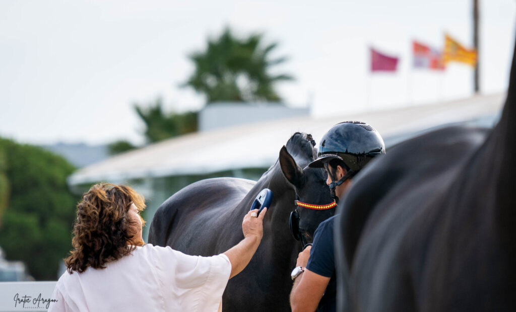 portfolio iratxe aragón