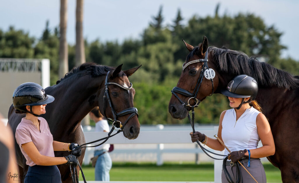 portfolio iratxe aragón